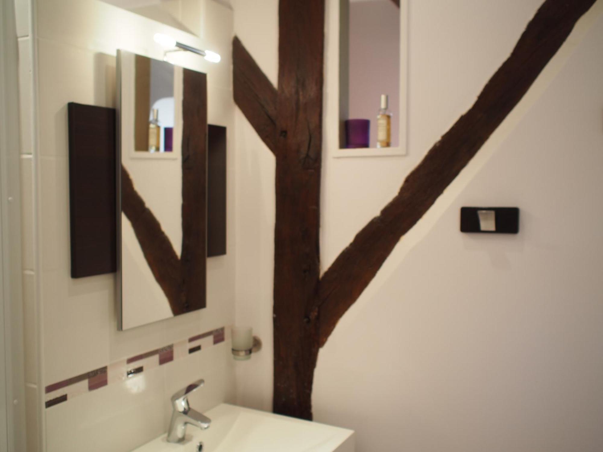 ホテル Manoir Du Rouvre Mettray 部屋 写真